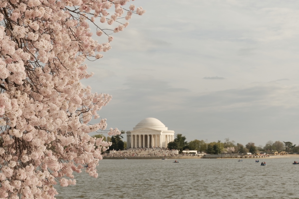 Washington DC